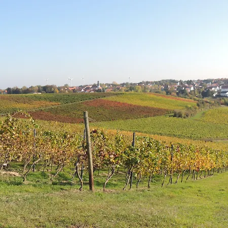 Weingut Seck 3* Dolgesheim