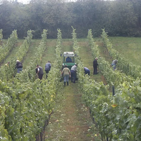 Weingut Seck Dolgesheim