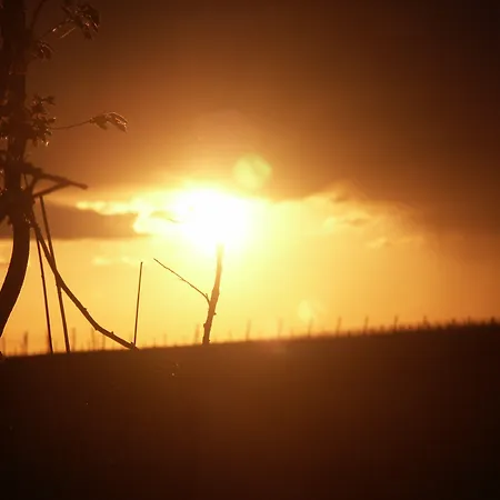 Weingut Seck ゲストハウス Dolgesheim