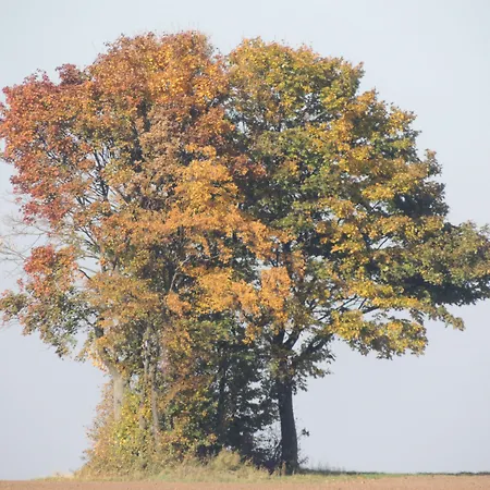 Weingut Seck Dolgesheim