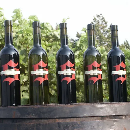 Weingut Seck 3* Dolgesheim