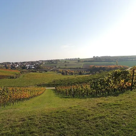 Guest house Weingut Seck 3*
