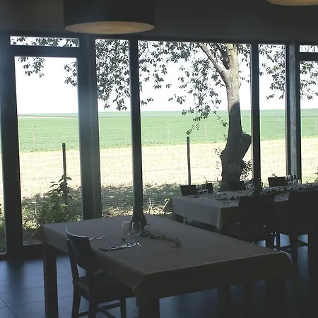 Guest house Weingut Seck Dolgesheim