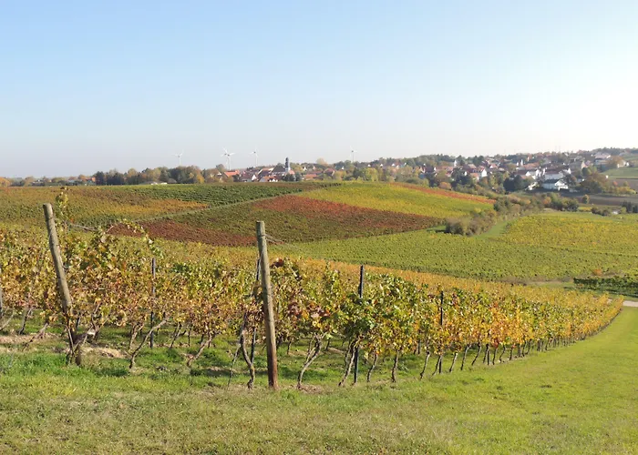 Weingut Seck 3* Dolgesheim