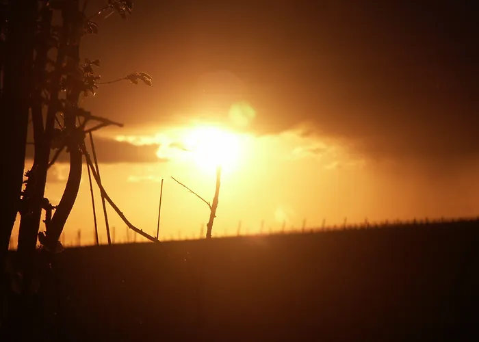Weingut Seck Gæstehus Dolgesheim