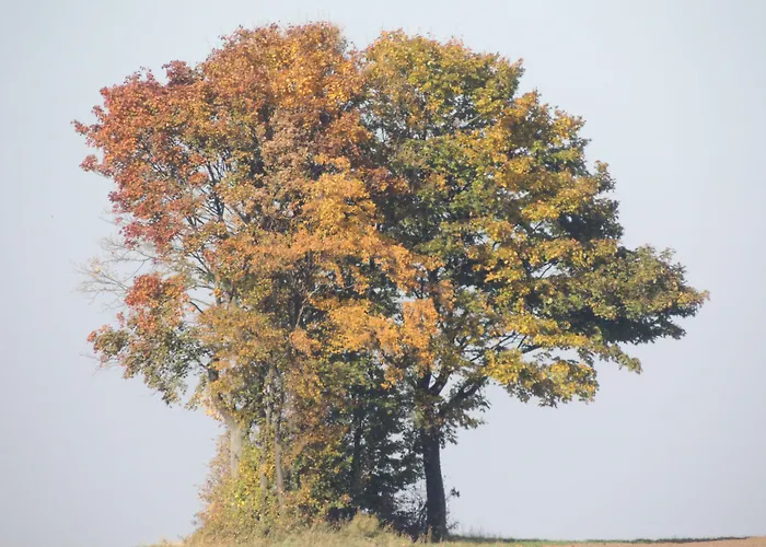 Weingut Seck Dolgesheim