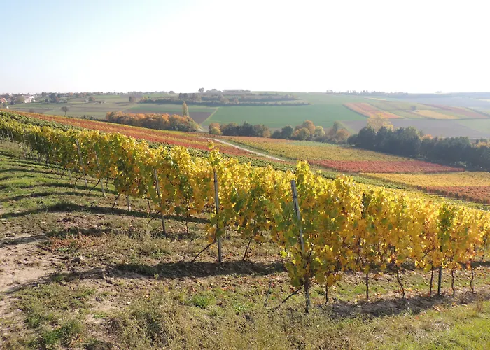 Weingut Seck Gæstehus