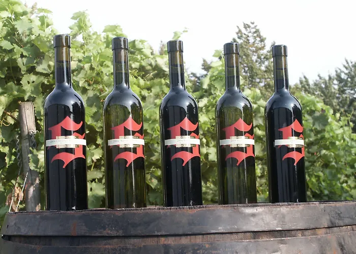 Weingut Seck 3* Dolgesheim