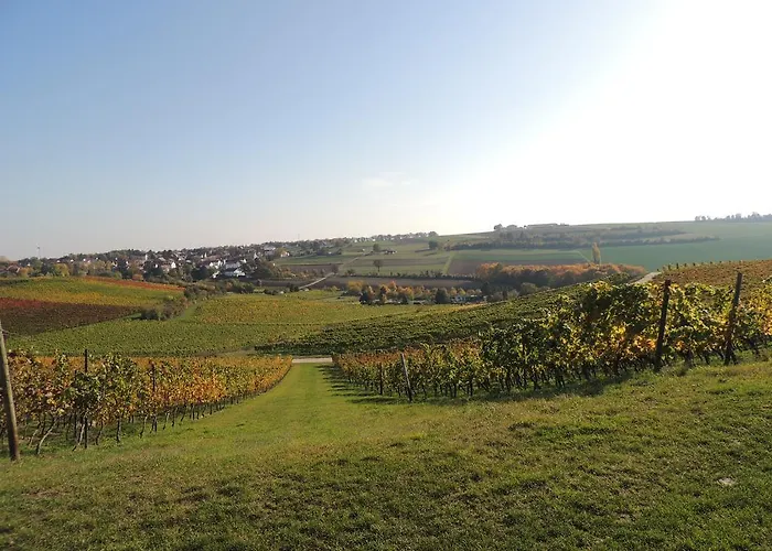 Gæstehus Weingut Seck 3*